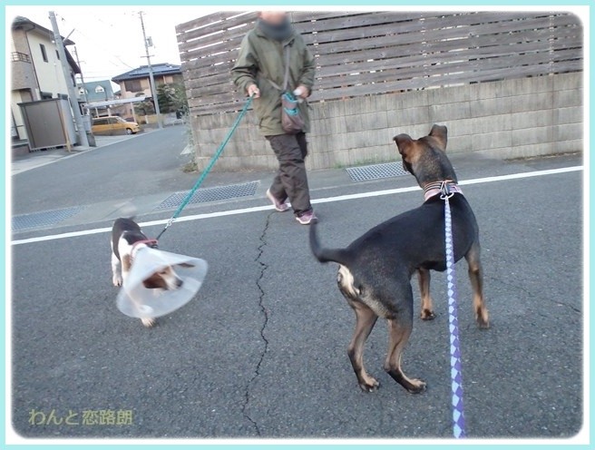 f:id:yasukazu01:20160114193616j:image