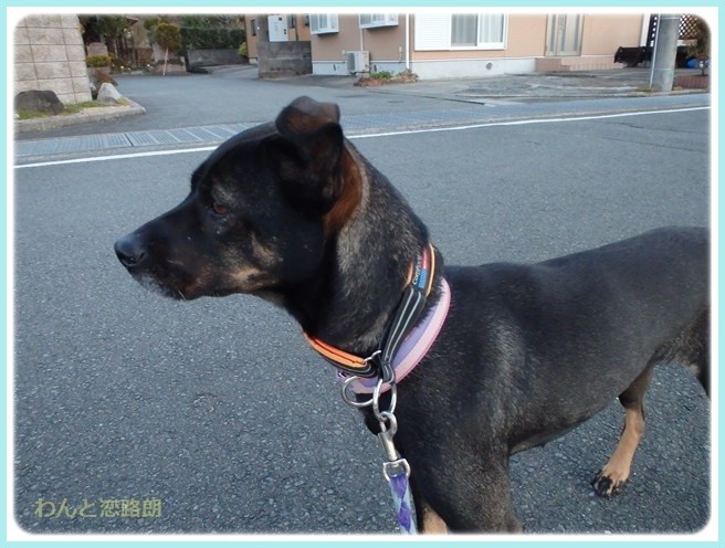 f:id:yasukazu01:20160114194140j:image