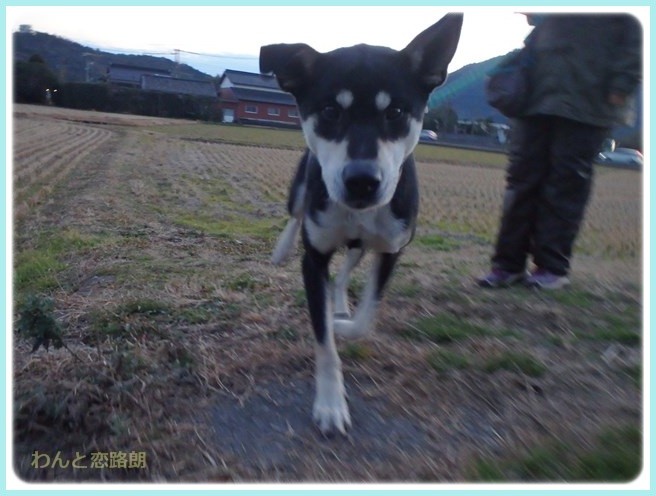 f:id:yasukazu01:20160114194914j:image