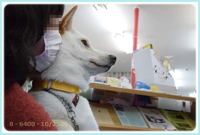 f:id:yasukazu01:20160118203304j:image