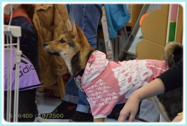 f:id:yasukazu01:20160118204705j:image