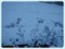 20160121200904