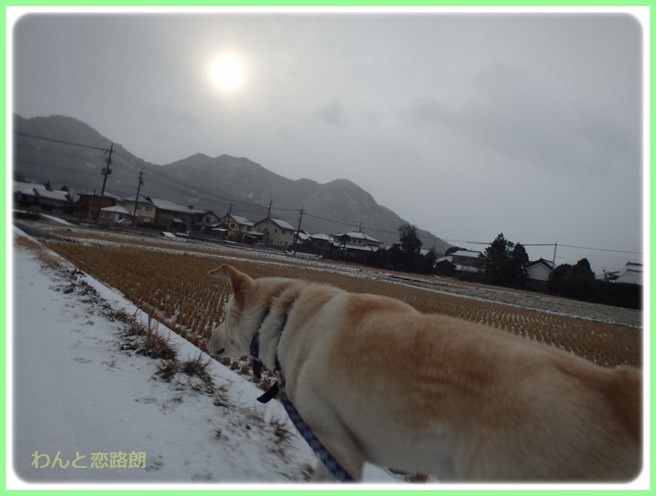 20160124111444