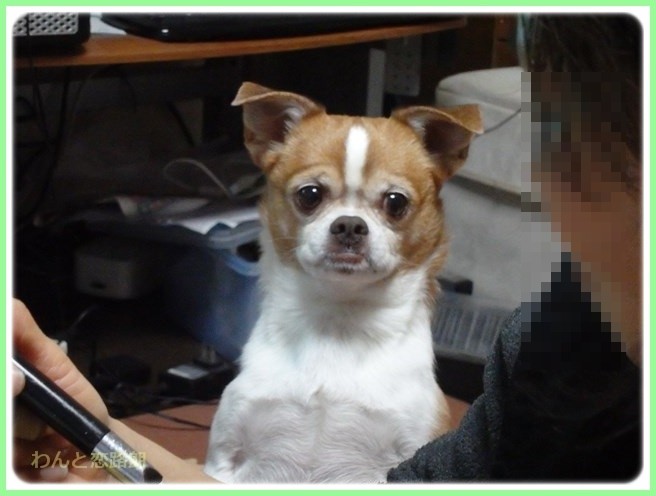 f:id:yasukazu01:20160203204243j:image