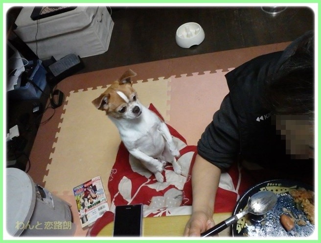 f:id:yasukazu01:20160203204413j:image