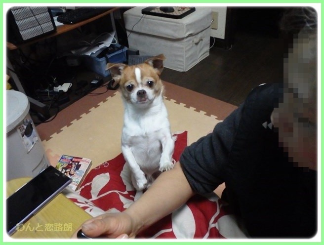f:id:yasukazu01:20160203204506j:image