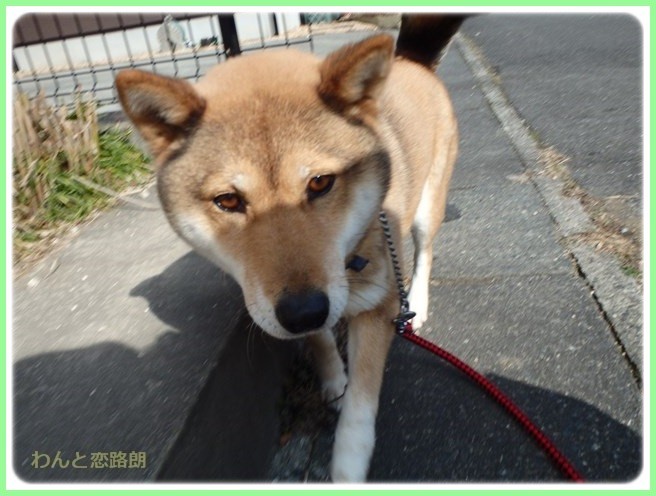 f:id:yasukazu01:20160210184858j:image