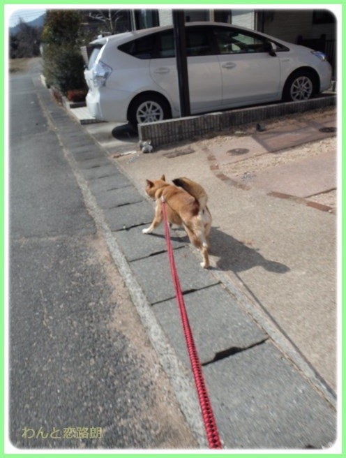 f:id:yasukazu01:20160210184959j:image