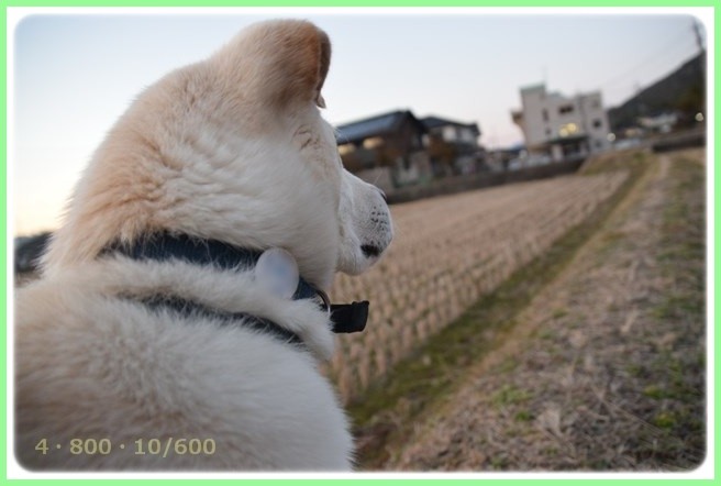 f:id:yasukazu01:20160210203229j:image