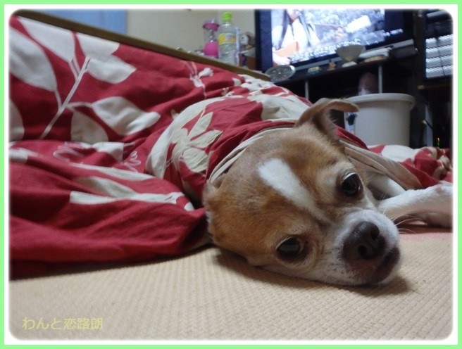 f:id:yasukazu01:20160210203357j:image