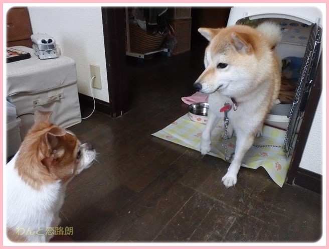 f:id:yasukazu01:20160330194138j:image