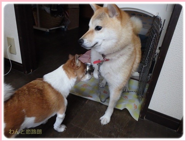 f:id:yasukazu01:20160330194855j:image