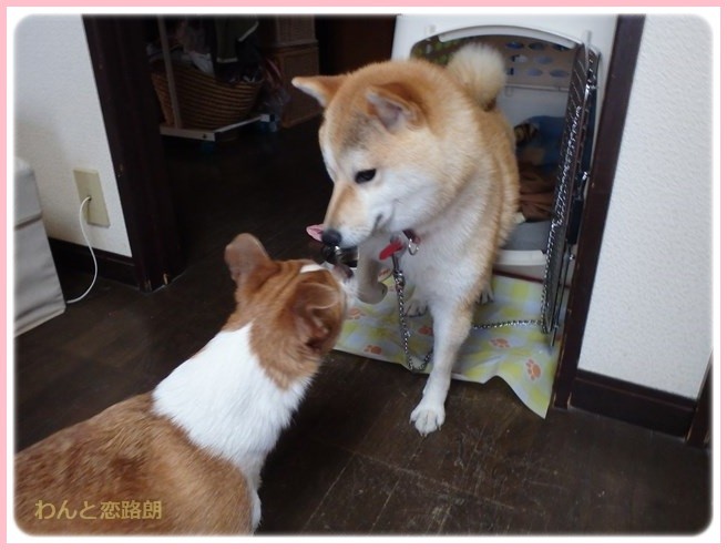 f:id:yasukazu01:20160330195104j:image