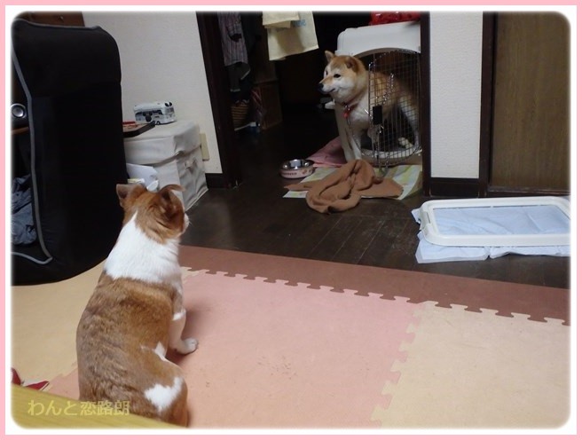 f:id:yasukazu01:20160330195635j:image