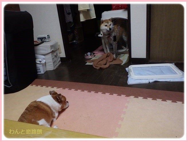 f:id:yasukazu01:20160330195757j:image