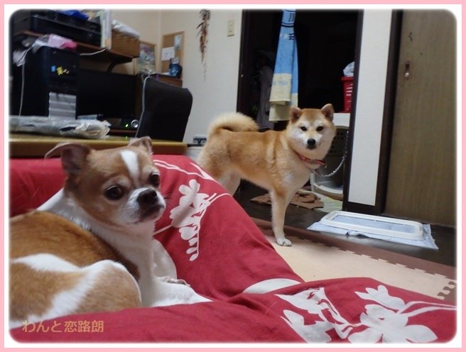 f:id:yasukazu01:20160330195857j:image