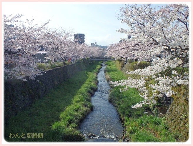 f:id:yasukazu01:20160404113540j:image