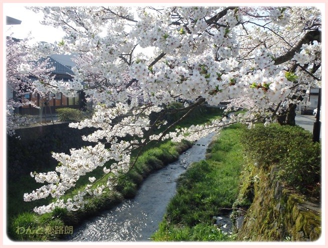 f:id:yasukazu01:20160404113722j:image