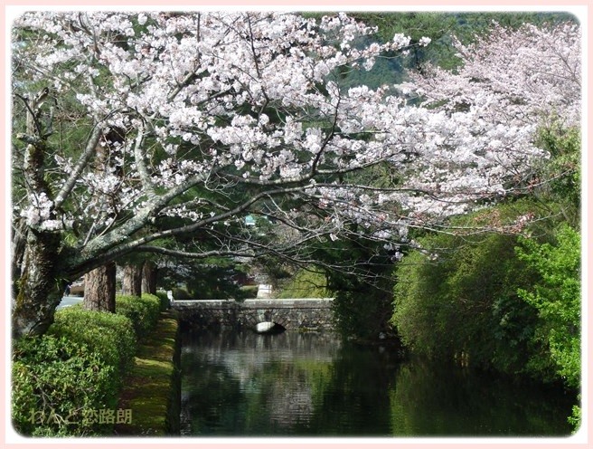 f:id:yasukazu01:20160404114435j:image