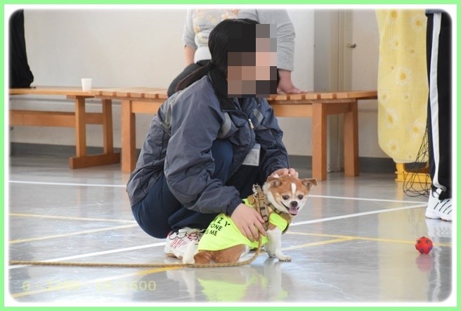 f:id:yasukazu01:20160416195120j:image f:id:yasukazu01:20160416195120j:image