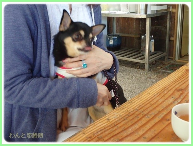f:id:yasukazu01:20160418202657j:image