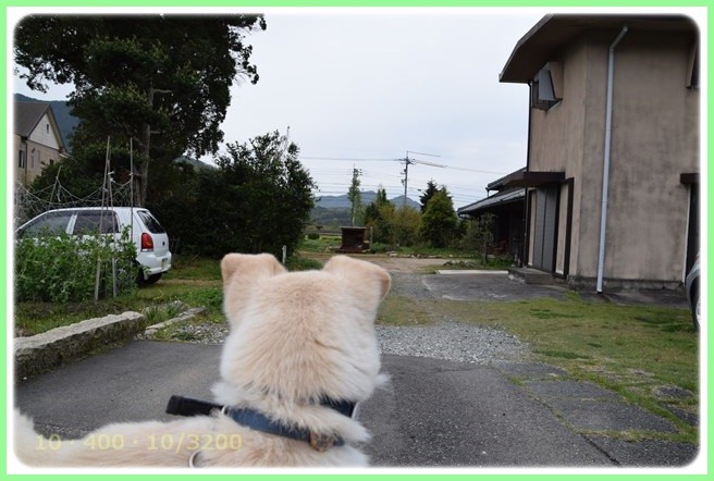 f:id:yasukazu01:20160422205632j:image