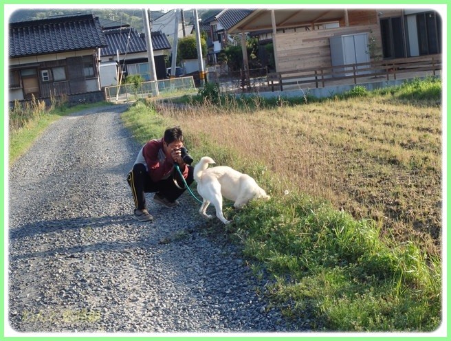 f:id:yasukazu01:20160422210242j:image
