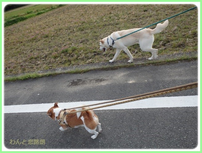 f:id:yasukazu01:20160426202956j:image