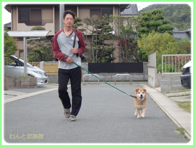 f:id:yasukazu01:20160426203216j:image