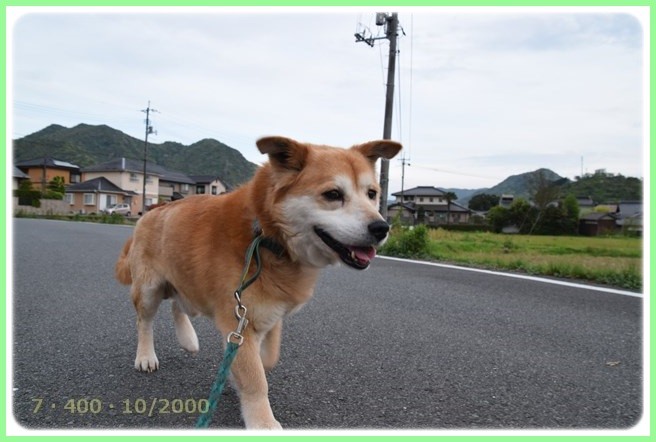 f:id:yasukazu01:20160426204217j:image