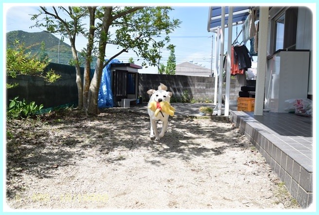 f:id:yasukazu01:20160509103807j:image