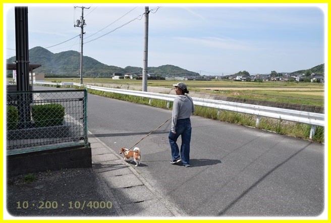 f:id:yasukazu01:20160521205307j:image f:id:yasukazu01:20160521205307j:image