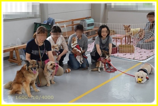 f:id:yasukazu01:20160521210003j:image f:id:yasukazu01:20160521210003j:image