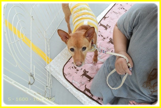 f:id:yasukazu01:20160521211808j:image f:id:yasukazu01:20160521211808j:image