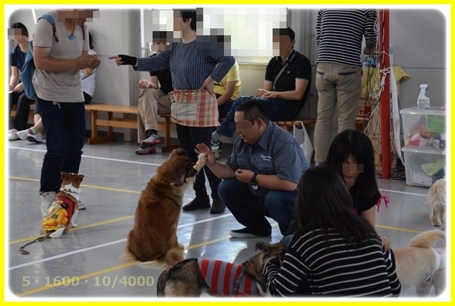 f:id:yasukazu01:20160521212701j:image f:id:yasukazu01:20160521212701j:image