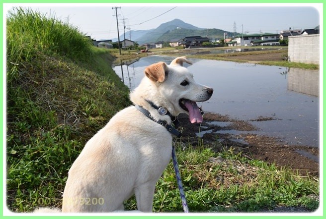 f:id:yasukazu01:20160522202839j:image f:id:yasukazu01:20160522202839j:image