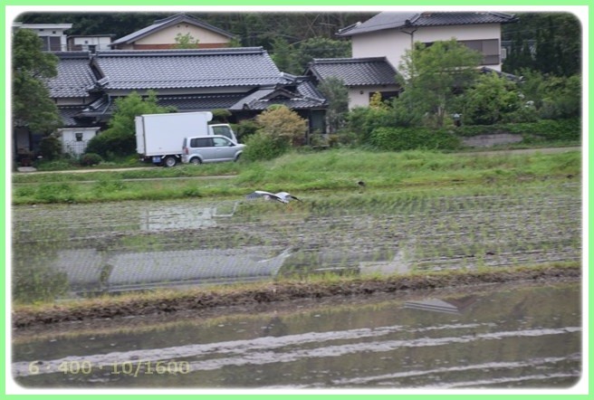 f:id:yasukazu01:20160601212227j:image