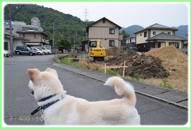 f:id:yasukazu01:20160601212430j:image