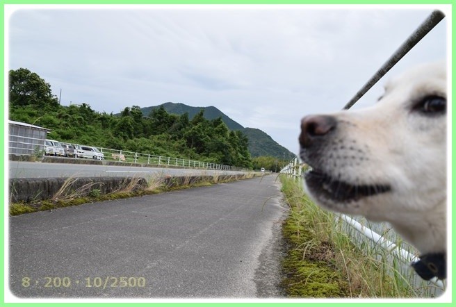 f:id:yasukazu01:20160606202018j:image