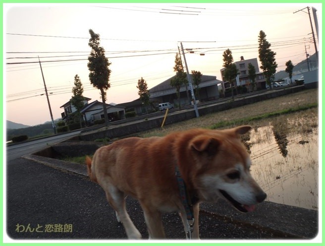 f:id:yasukazu01:20160607205216j:image