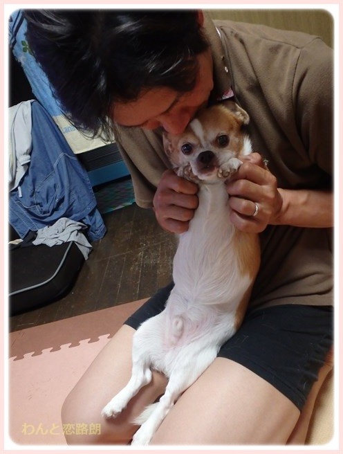 f:id:yasukazu01:20160628200613j:image
