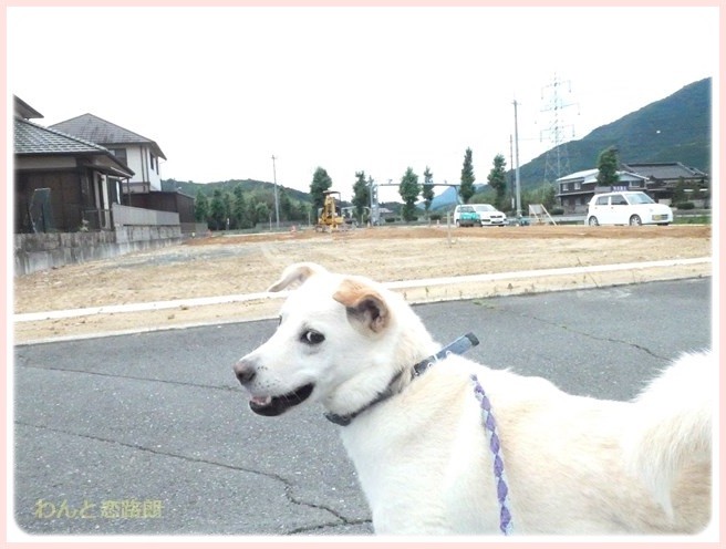 f:id:yasukazu01:20160704201844j:image