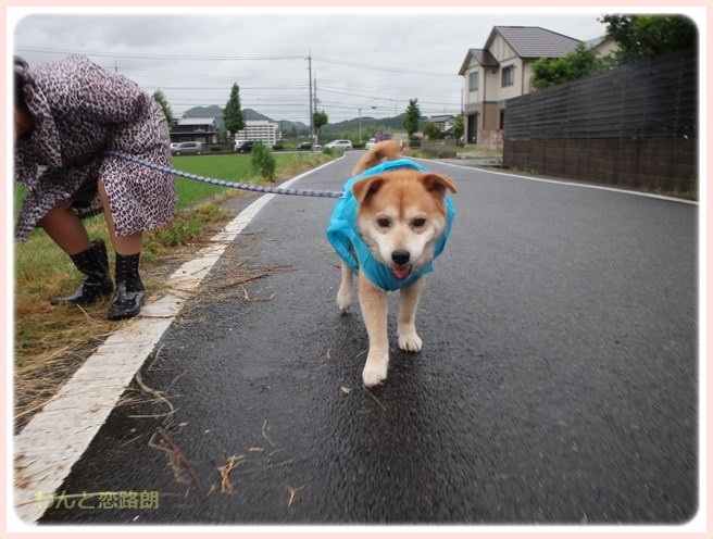 20160708204405