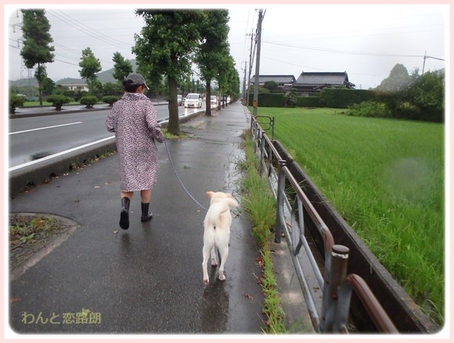 20160708205214