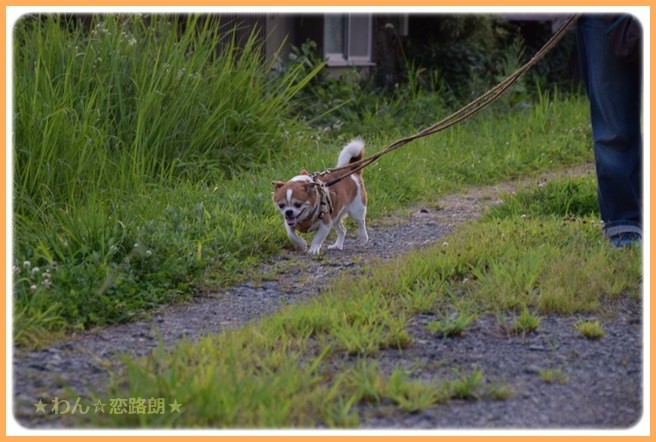 f:id:yasukazu01:20160720210939j:image f:id:yasukazu01:20160720210939j:image