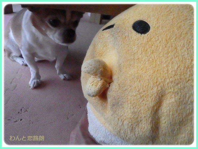 f:id:yasukazu01:20160805211111j:image