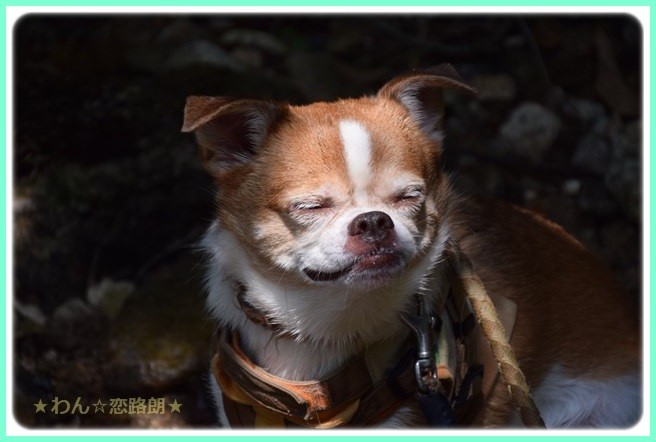 f:id:yasukazu01:20160814205032j:image f:id:yasukazu01:20160814205032j:image