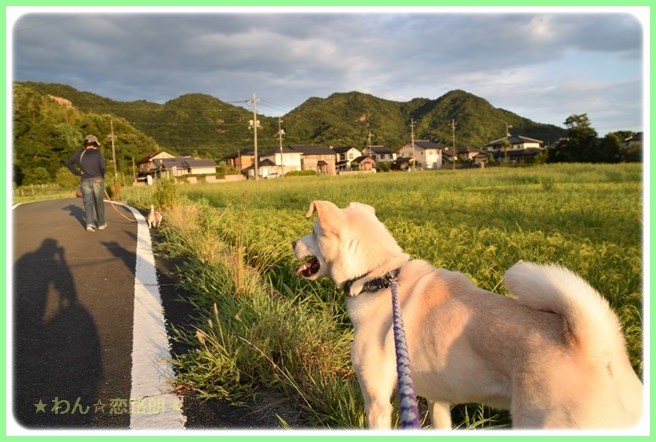 f:id:yasukazu01:20160823203807j:image f:id:yasukazu01:20160823203807j:image