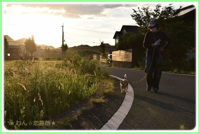 f:id:yasukazu01:20160823203921j:image f:id:yasukazu01:20160823203921j:image