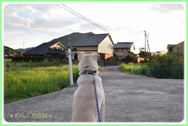 f:id:yasukazu01:20160823204049j:image f:id:yasukazu01:20160823204049j:image